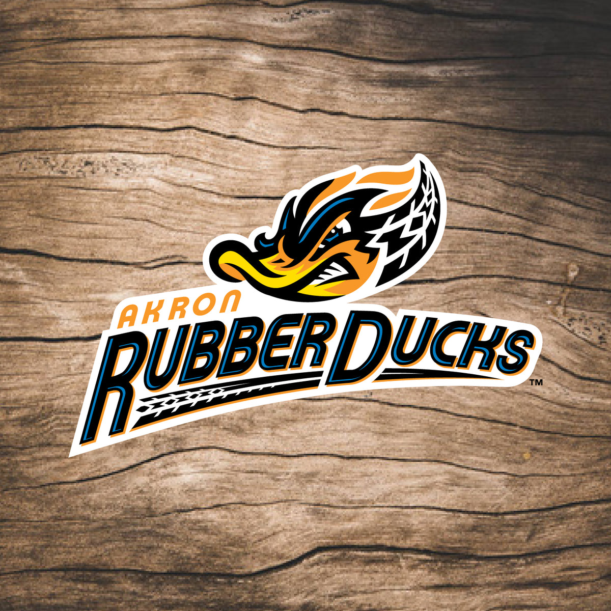 akron-rubberducks-coopersburg