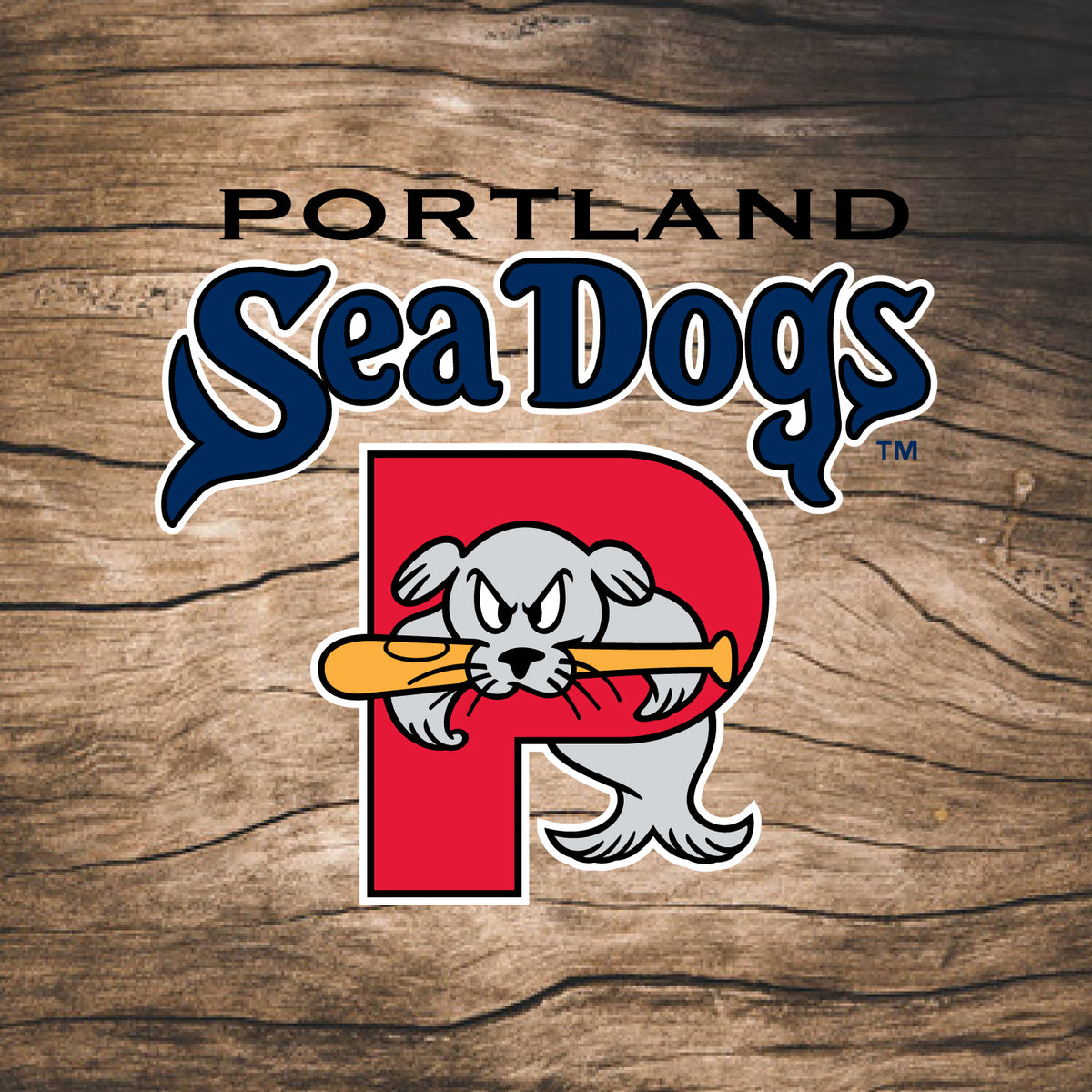 Portland Sea Dogs Coopersburg
