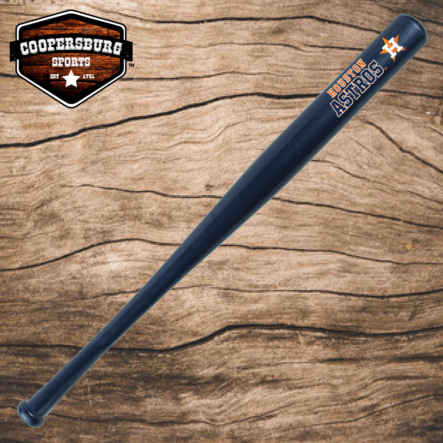 Houston Astros Team Logo Wood 18" Bat