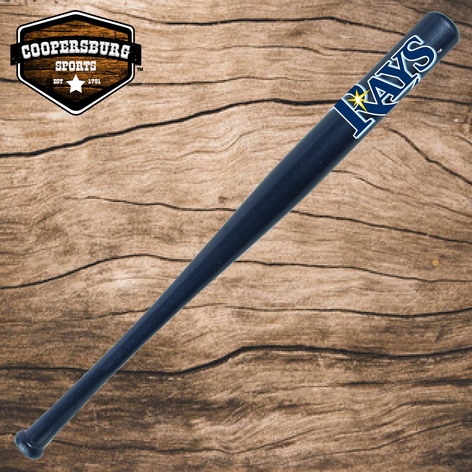 Tampa Bay Rays Team Logo Wood 18" Bat
