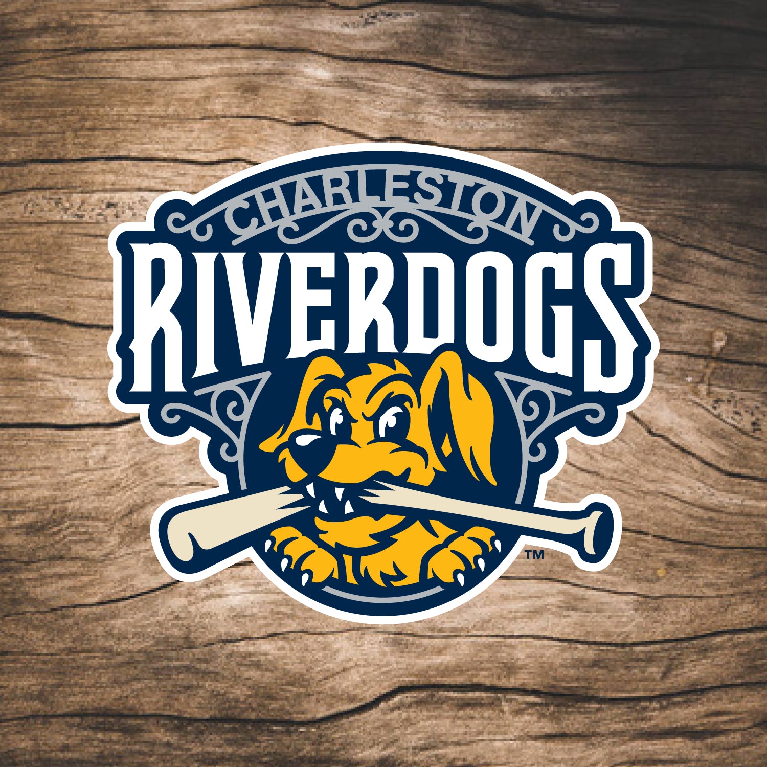 Charleston RiverDogs