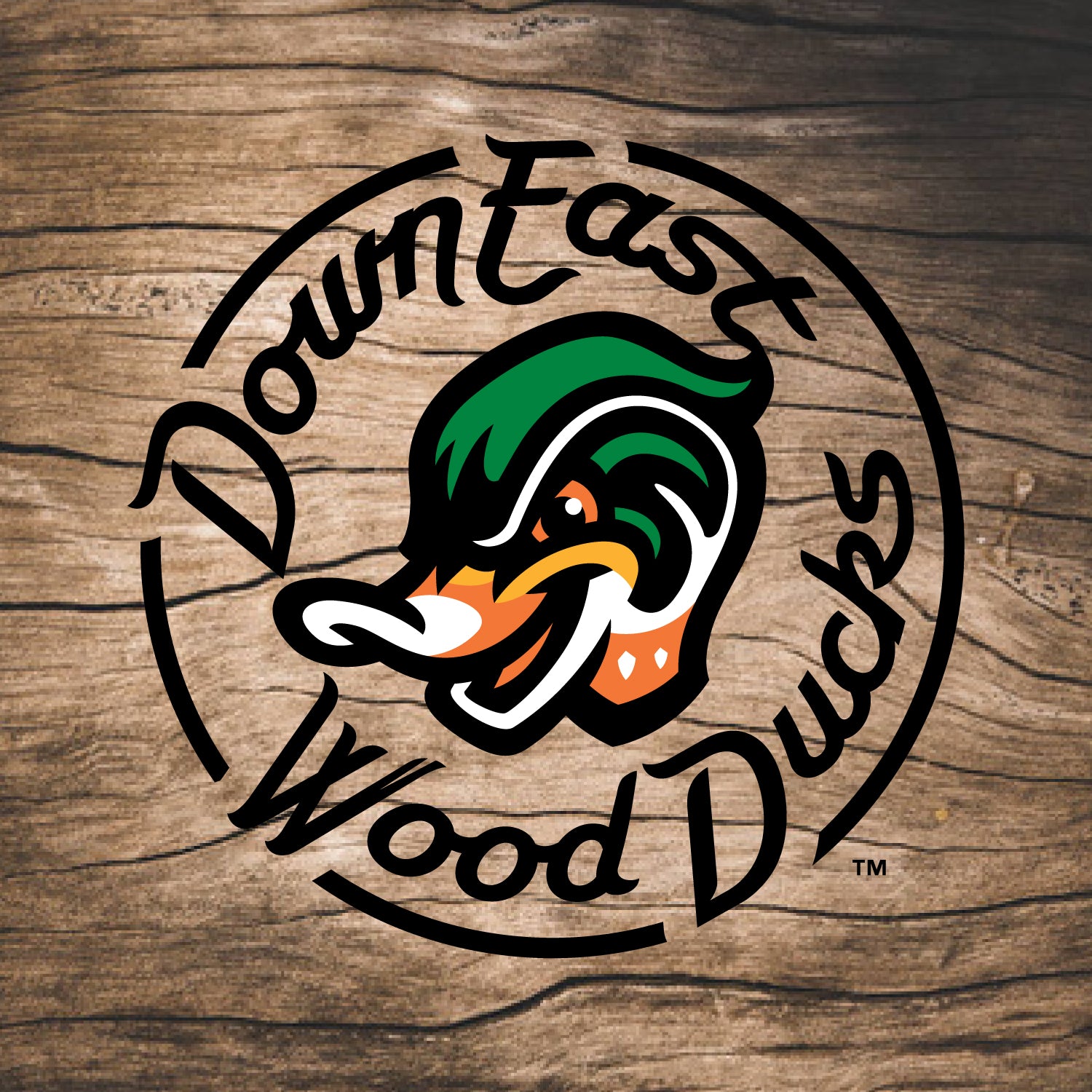 Down East Wood Ducks