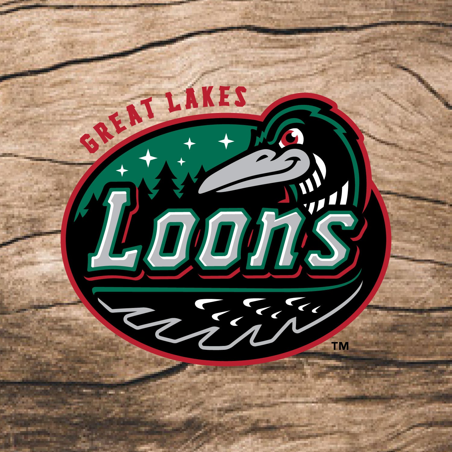 Great Lakes Loons