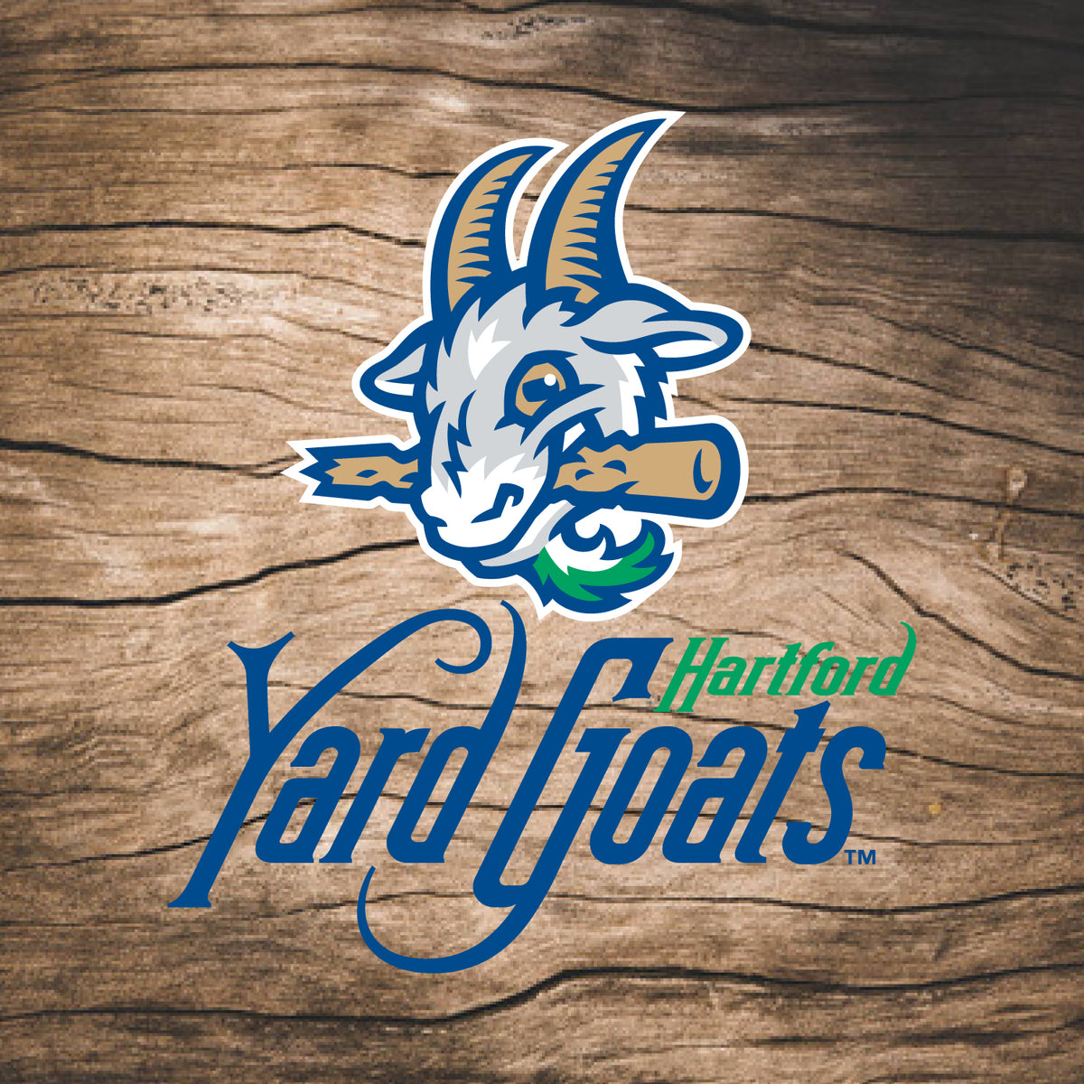 Hartford Yard Goats Coopersburg