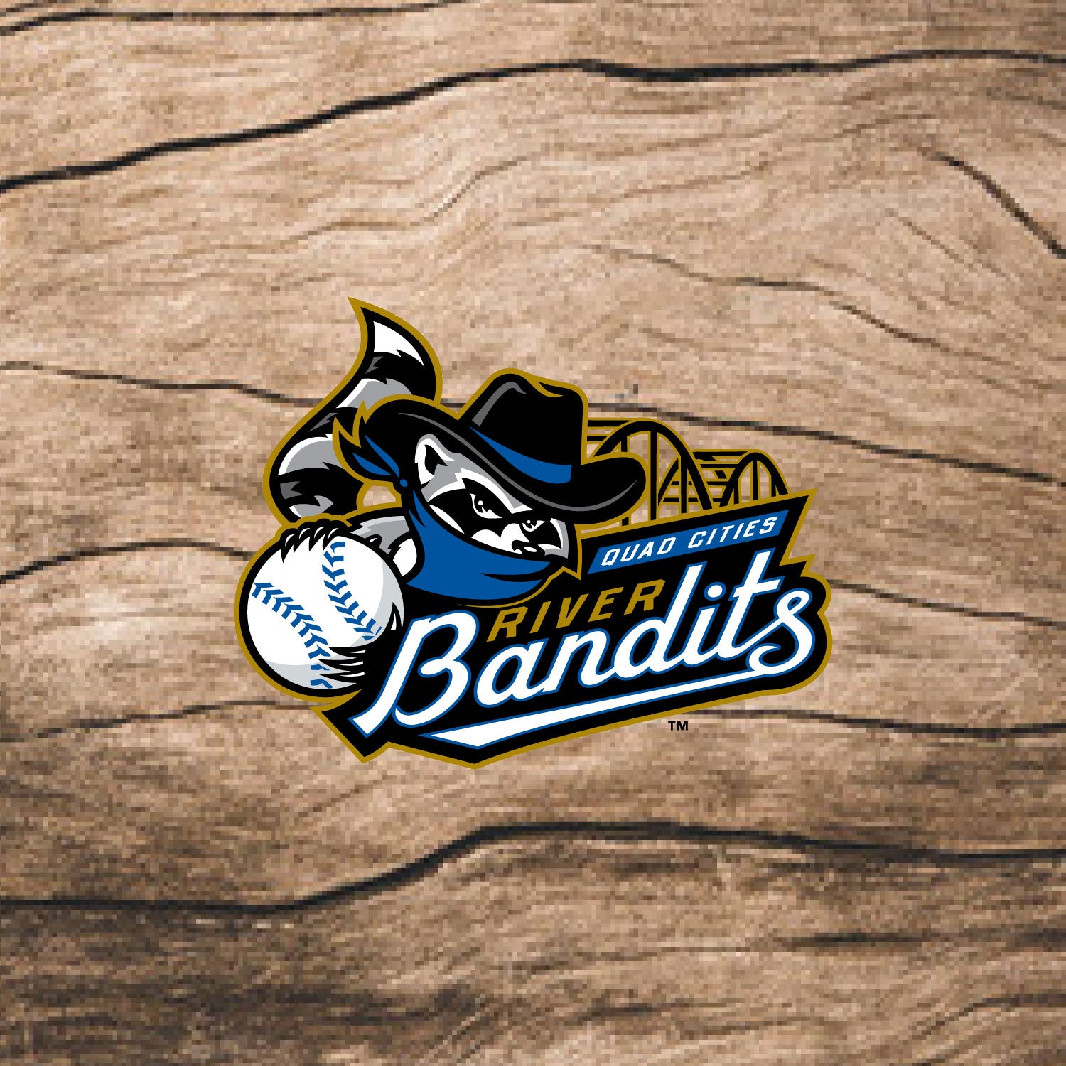 Quad Cities River Bandits