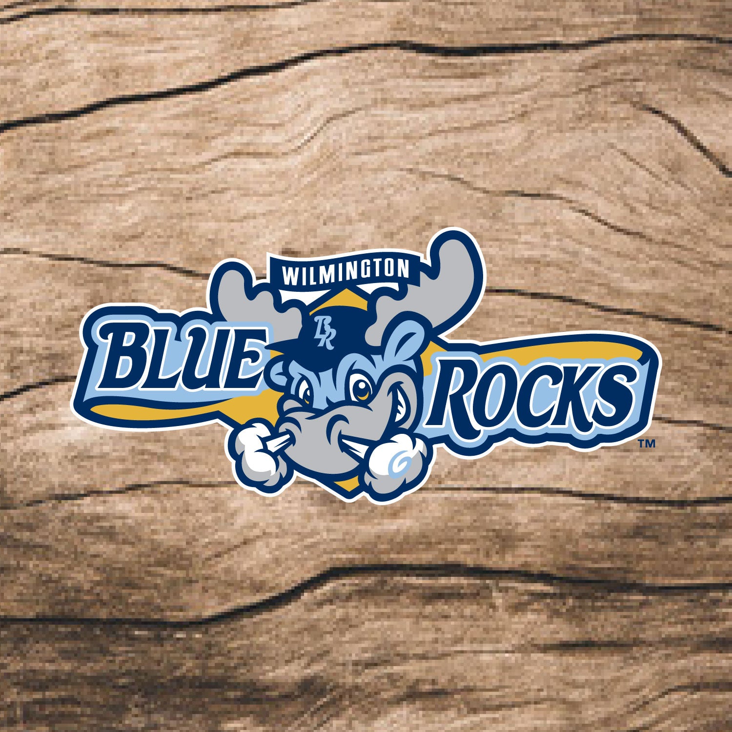 Wilmington Blue Rocks